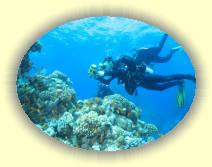 IMG_2007_05_27 18_29_33 * 2240 x 1680 * (576KB)